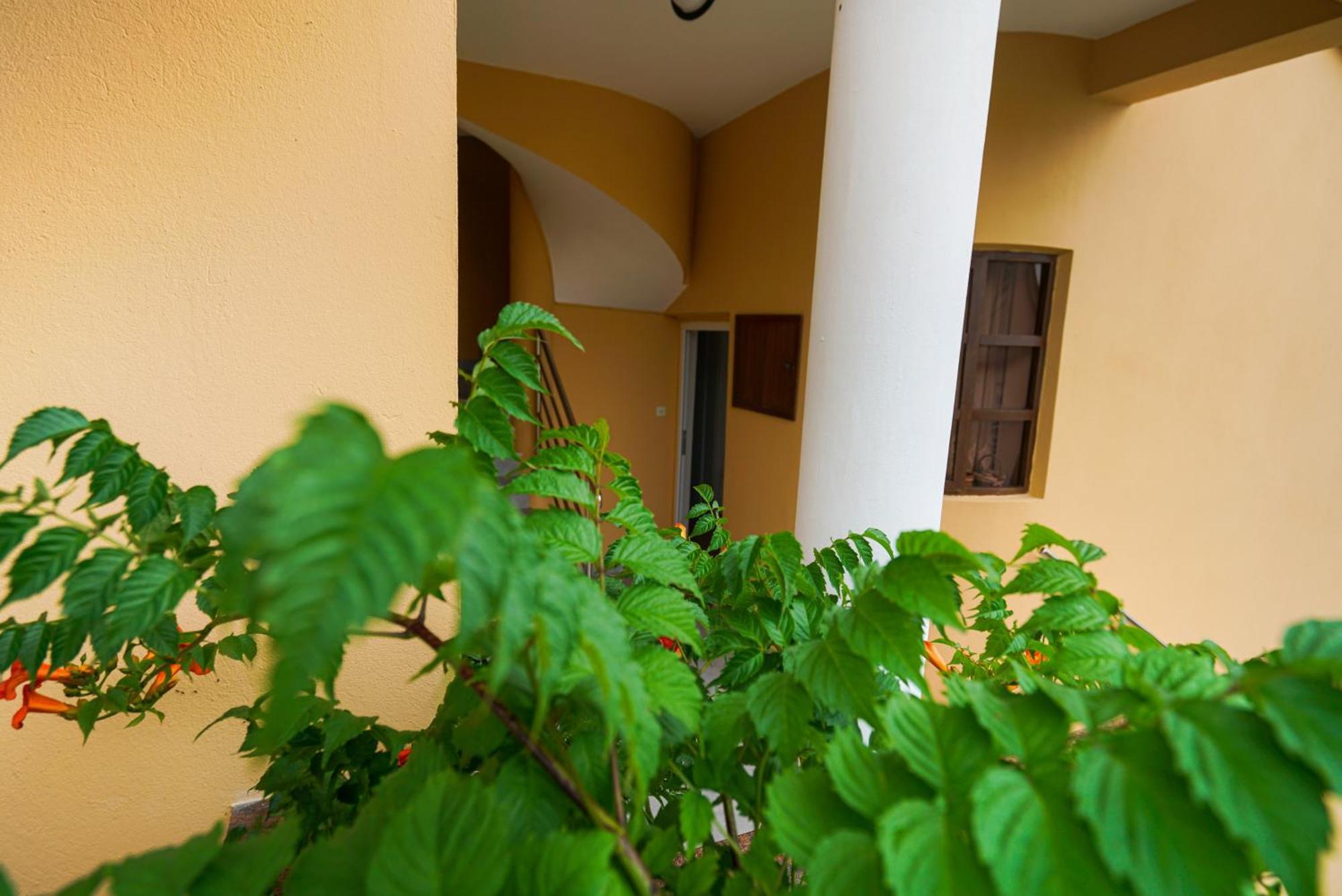 Apartments Osljak Preko Exterior foto
